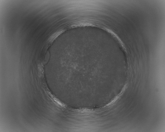 X0000056340785200508291314