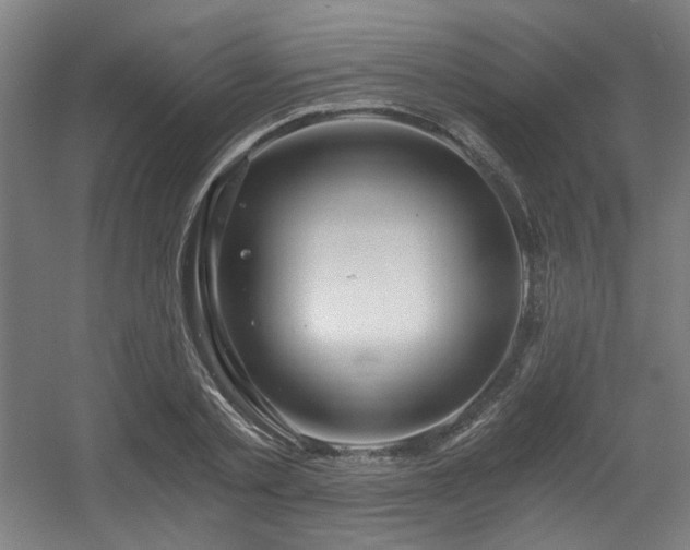 X0000056340789200508291314