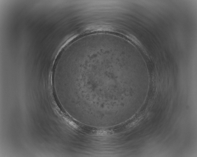 X0000056340790200508291314