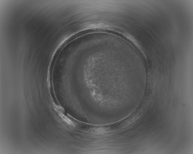 X0000056340791200508291314