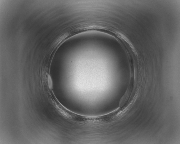 X0000056340793200508291314