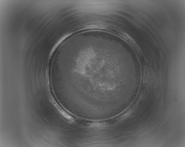 X0000056340796200508291314