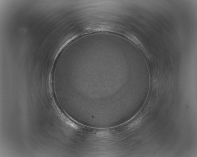 X0000056340798200508291314