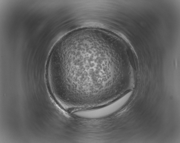 X0000056340799200508291314