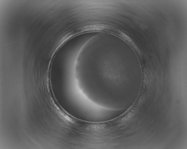 X0000056340802200508291314