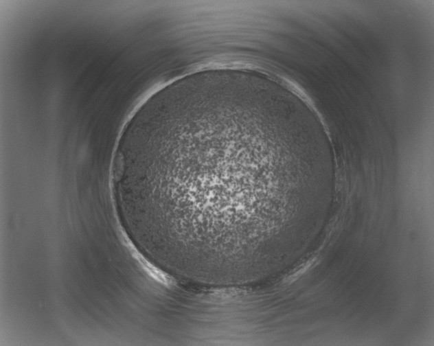 X0000056340803200508291314