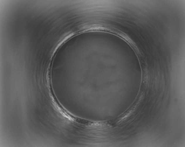 X0000056340806200508291314