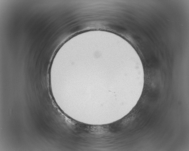 X0000056340807200508291314