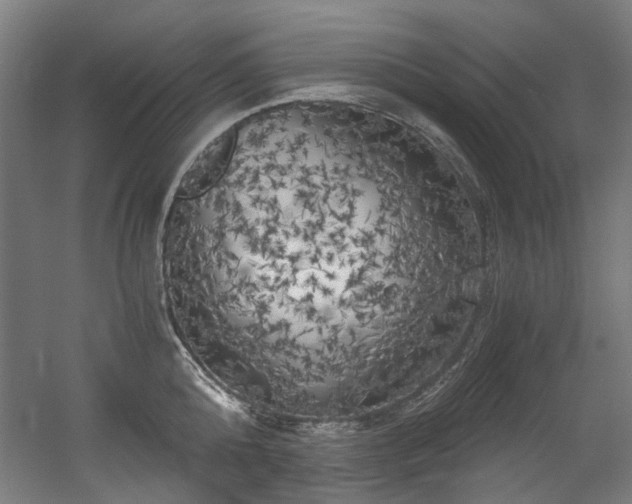 X0000056340808200508291314