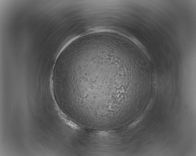 X0000056340814200508291314