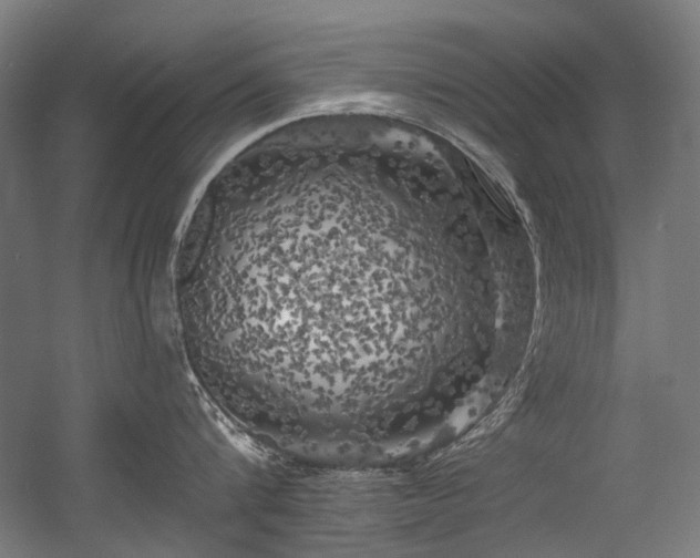 X0000056340816200508291314