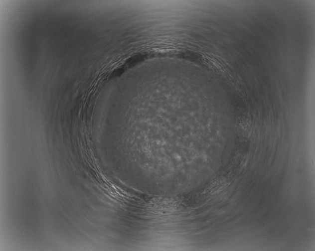 X0000056340817200508291313