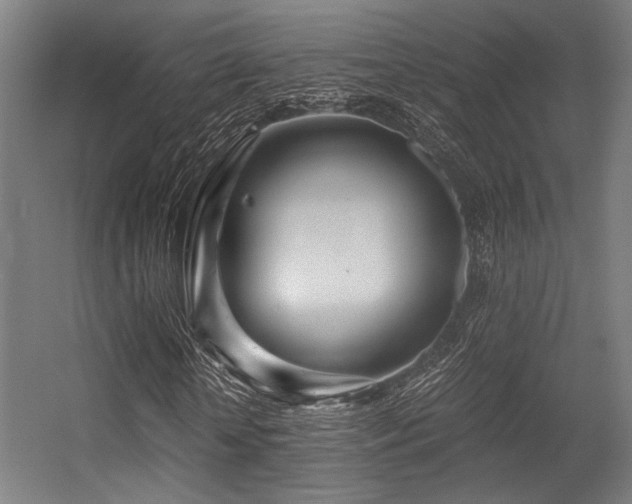 X0000056340818200508291313