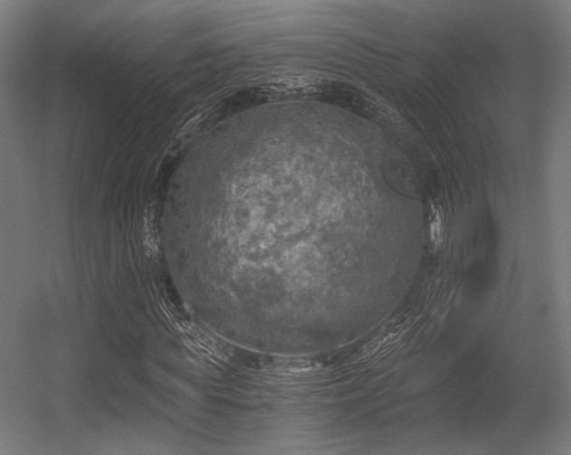 X0000056340819200508291313