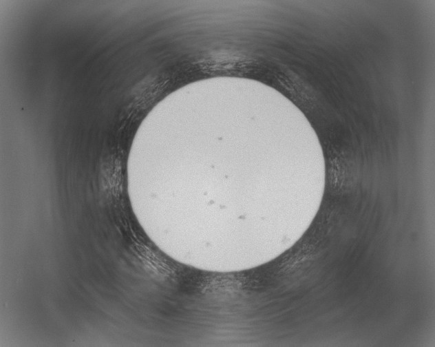 X0000056340820200508291313