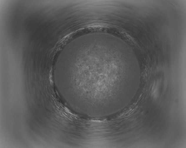 X0000056340821200508291313