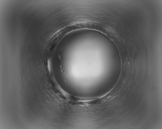 X0000056340822200508291313