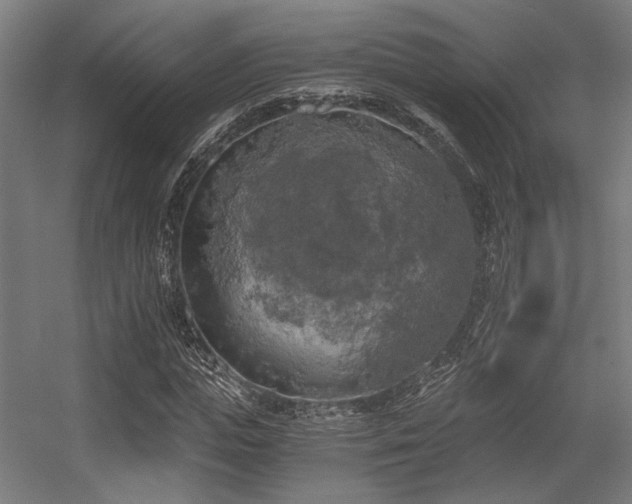 X0000056340823200508291313