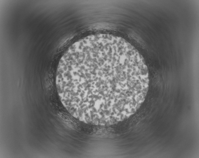 X0000056340824200508291313