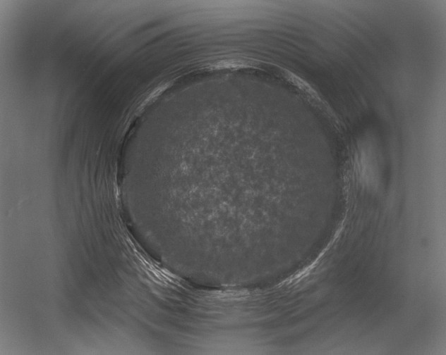 X0000056340825200508291313