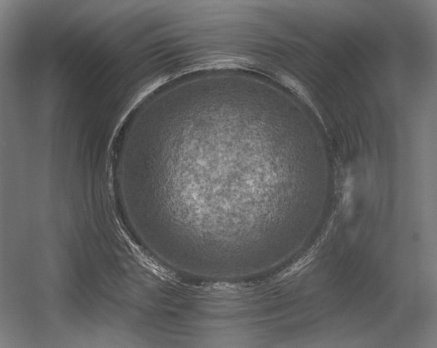 X0000056340827200508291313