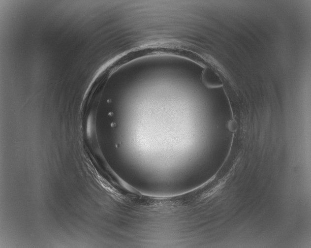 X0000056340830200508291313