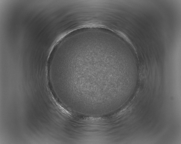 X0000056340831200508291313