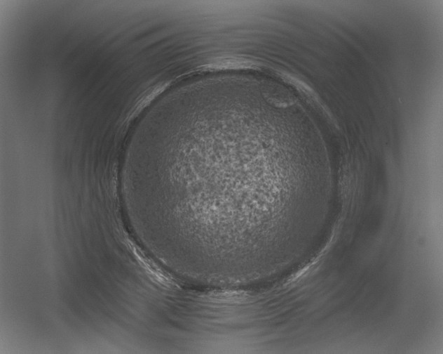 X0000056340833200508291313