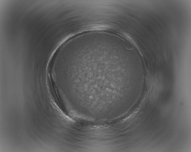 X0000056340835200508291313