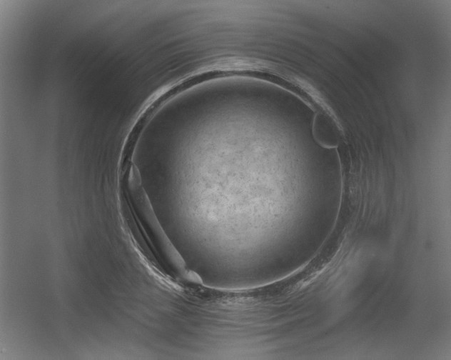 X0000056340837200508291313