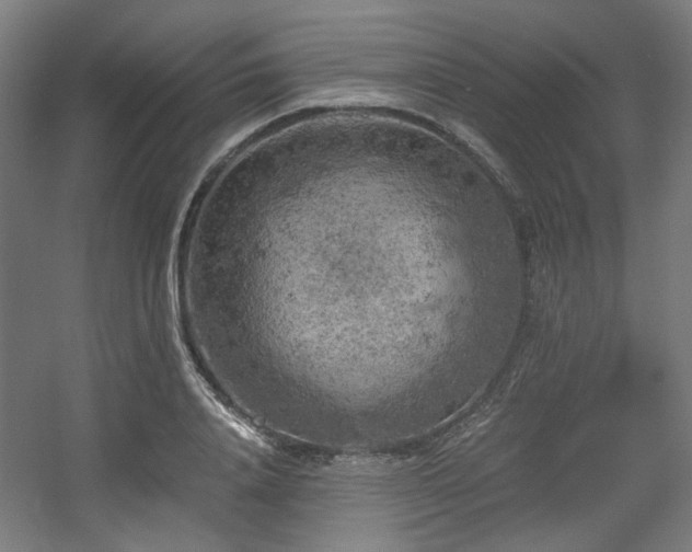 X0000056340840200508291313