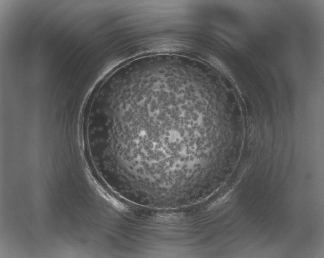 X0000056340843200508291313