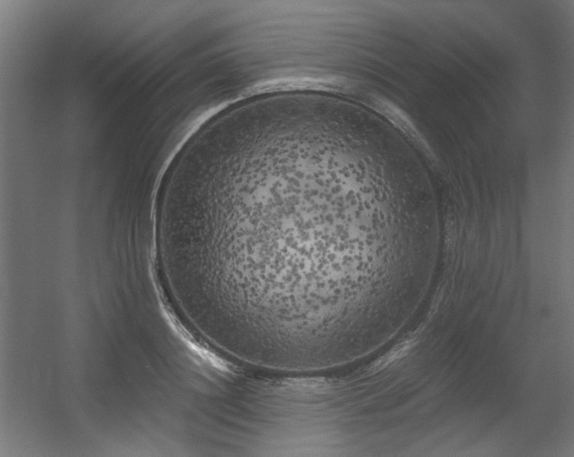 X0000056340844200508291313