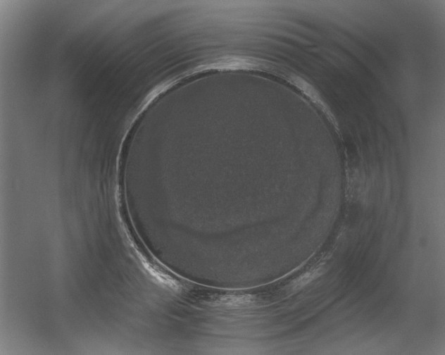 X0000056340845200508291313