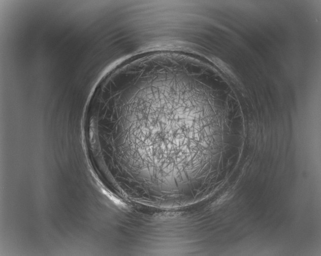 X0000056340846200508291313