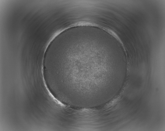 X0000056340847200508291313