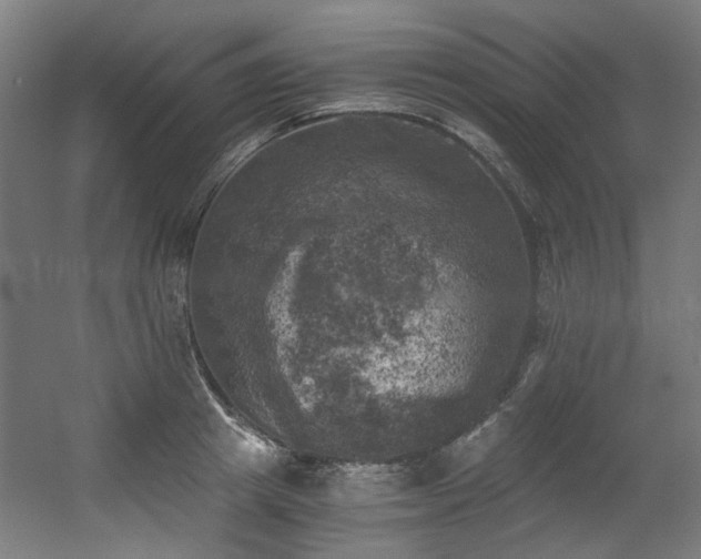 X0000056340849200508291313