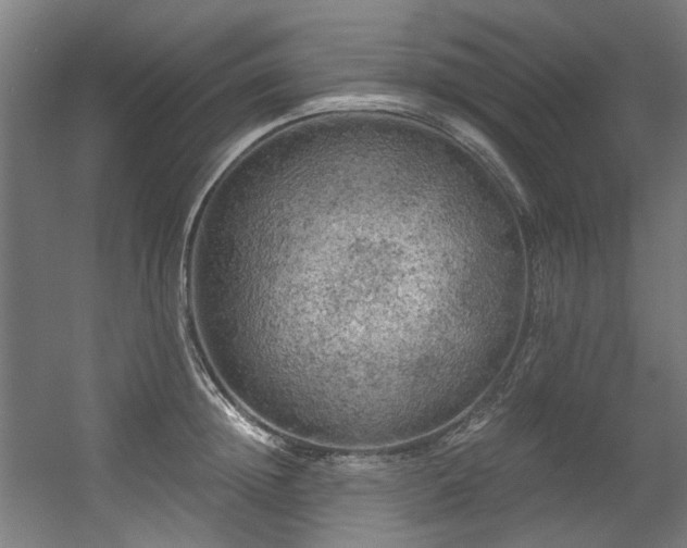 X0000056340852200508291314