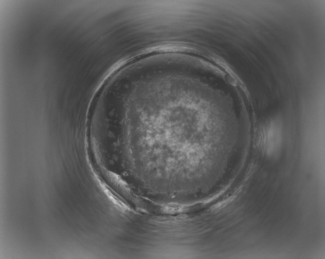 X0000056340853200508291314