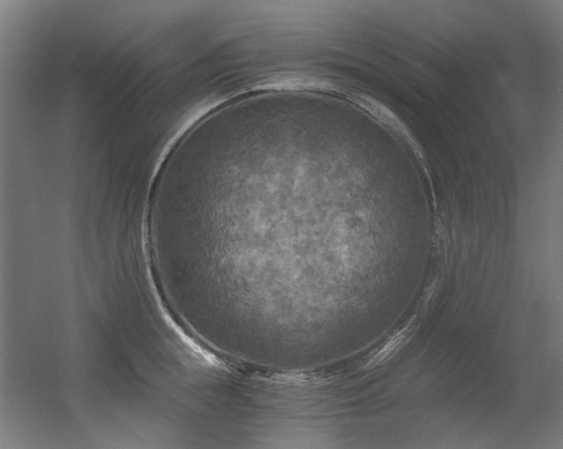 X0000056340855200508291314