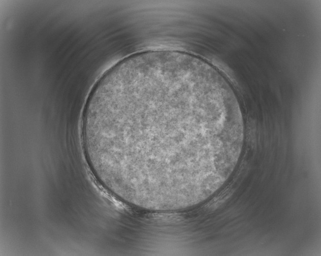 X0000056340856200508291314