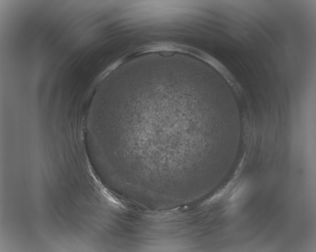 X0000056340857200508291314