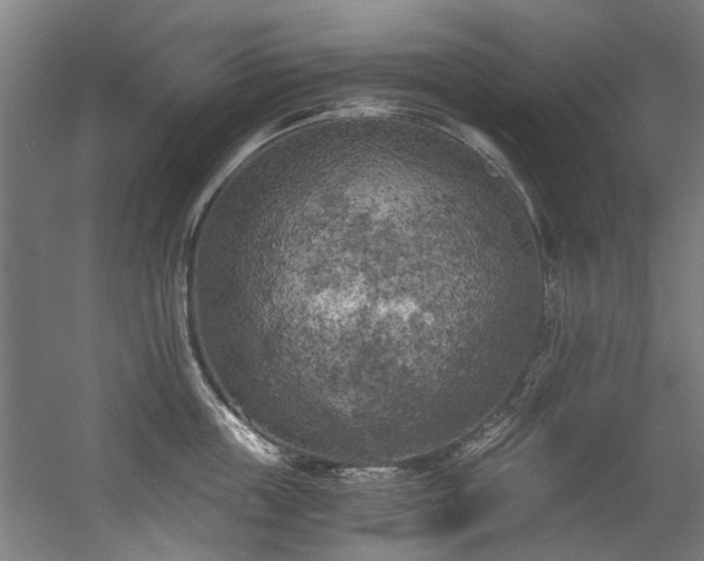 X0000056340859200508291314