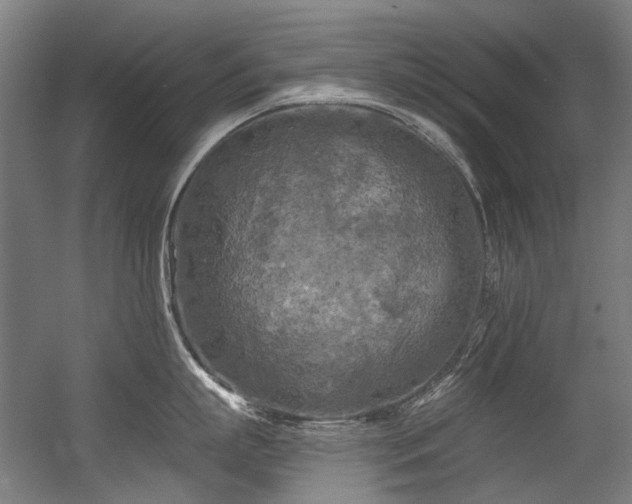 X0000056340863200508291314