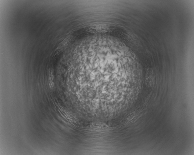 X0000056340866200508291313