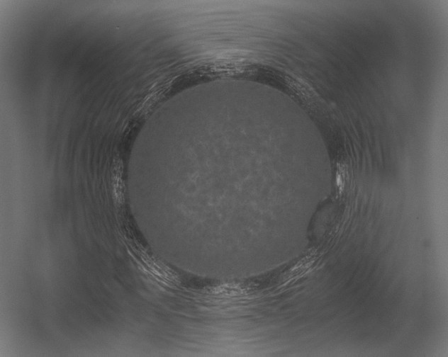 X0000056340867200508291313