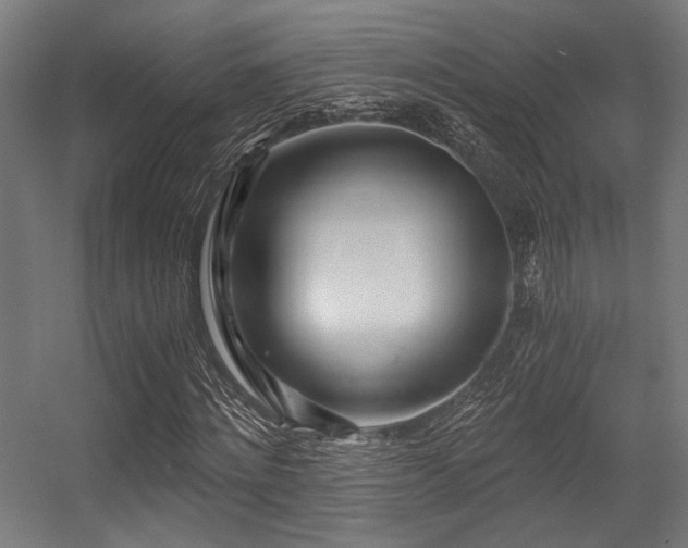 X0000056340868200508291313