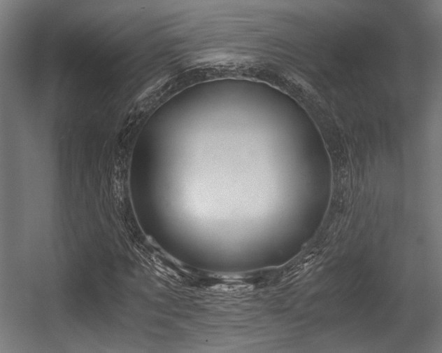 X0000056340869200508291313