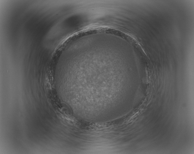 X0000056340871200508291313