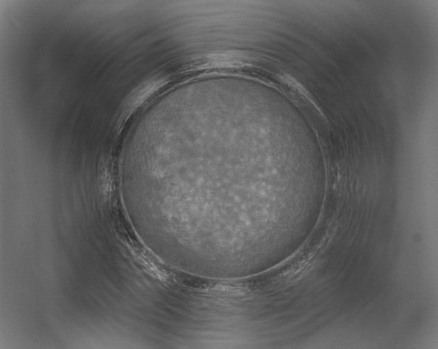 X0000056340874200508291313